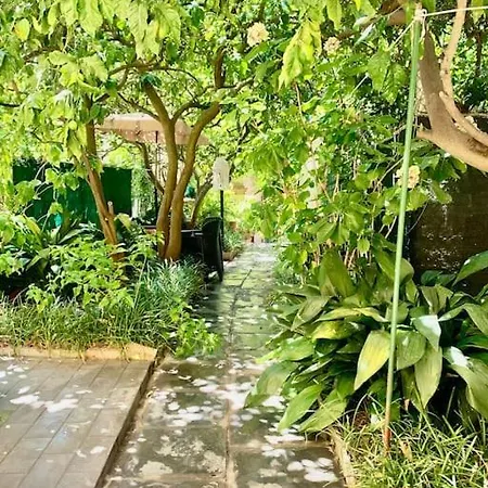 Casa Adele דירה
