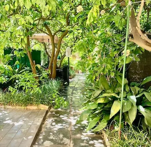 Casa Adele Lejlighed